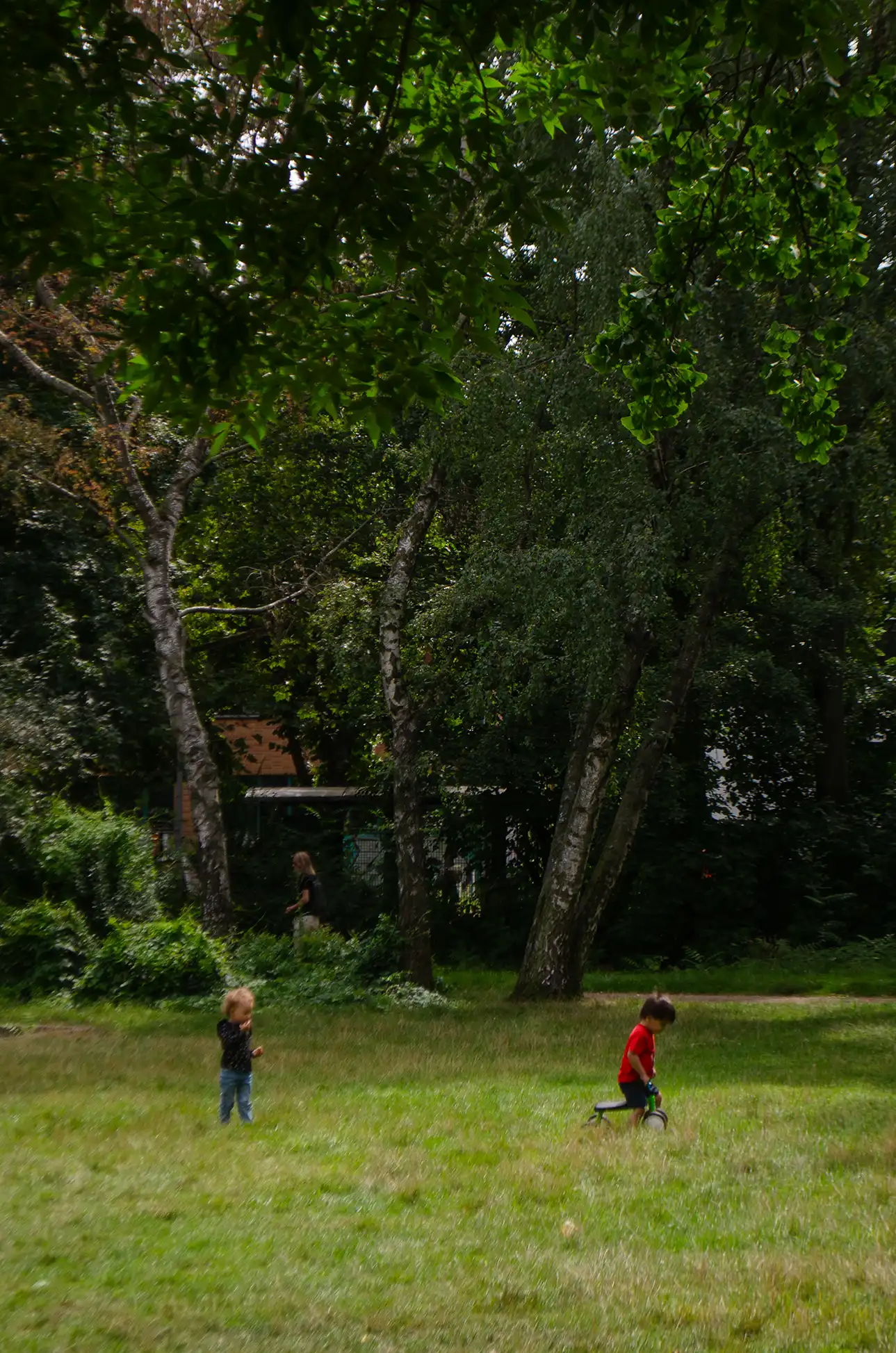 berlin/Berlin-011-3264 x 4928.webp